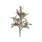 12" Frosted Mistletoe Berry Pick – Christmas Wreath & Centerpiece Stem-MTX77110